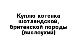 Куплю котенка шотландской, британской породы (вислоухий)